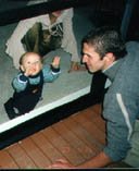 � ��� �������� ����